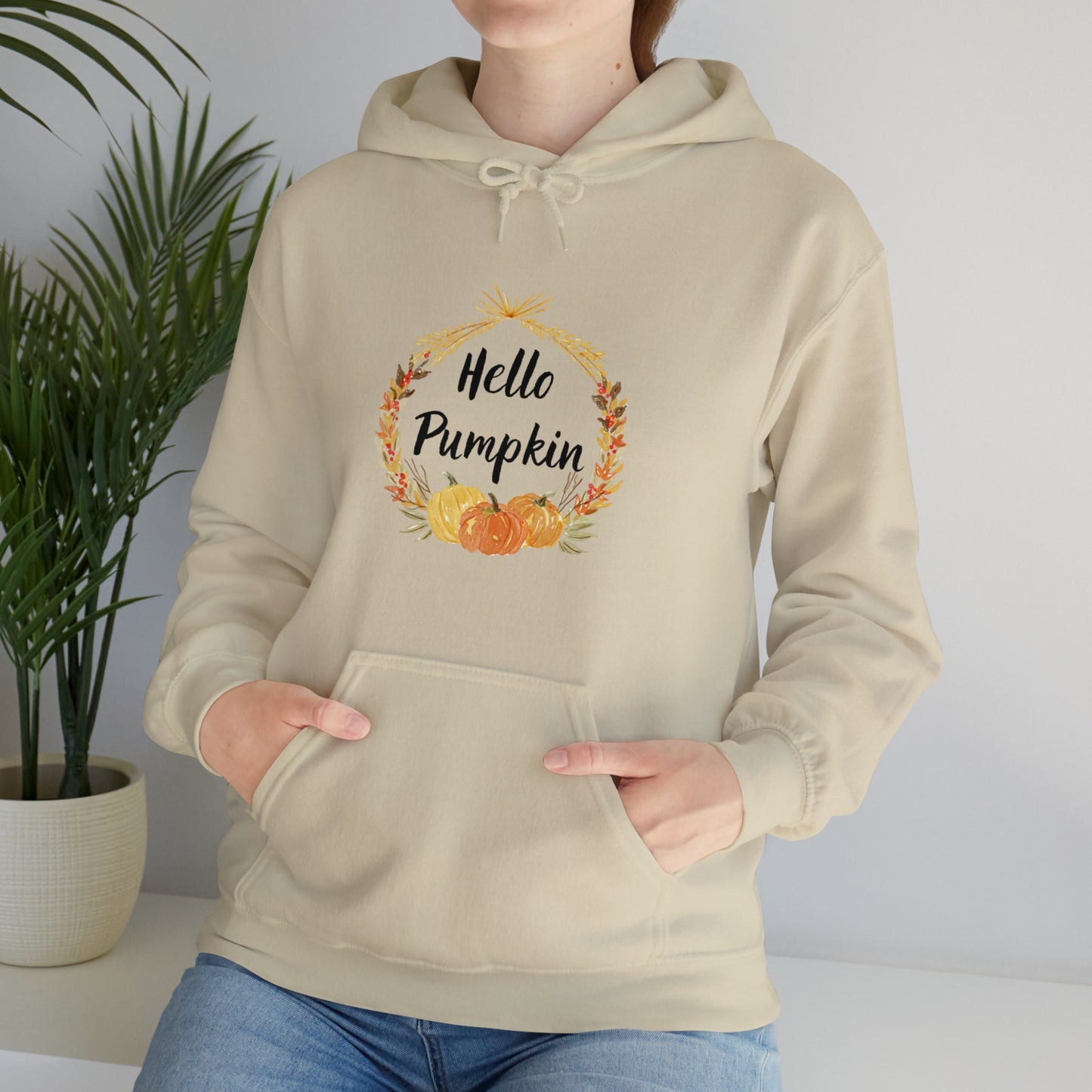 Hello Pumpkin Hooded Sweatshirt, Autumn Hoodie, Fall Aesthetic Sweatshirt, Long Sleeve Sweatshirt