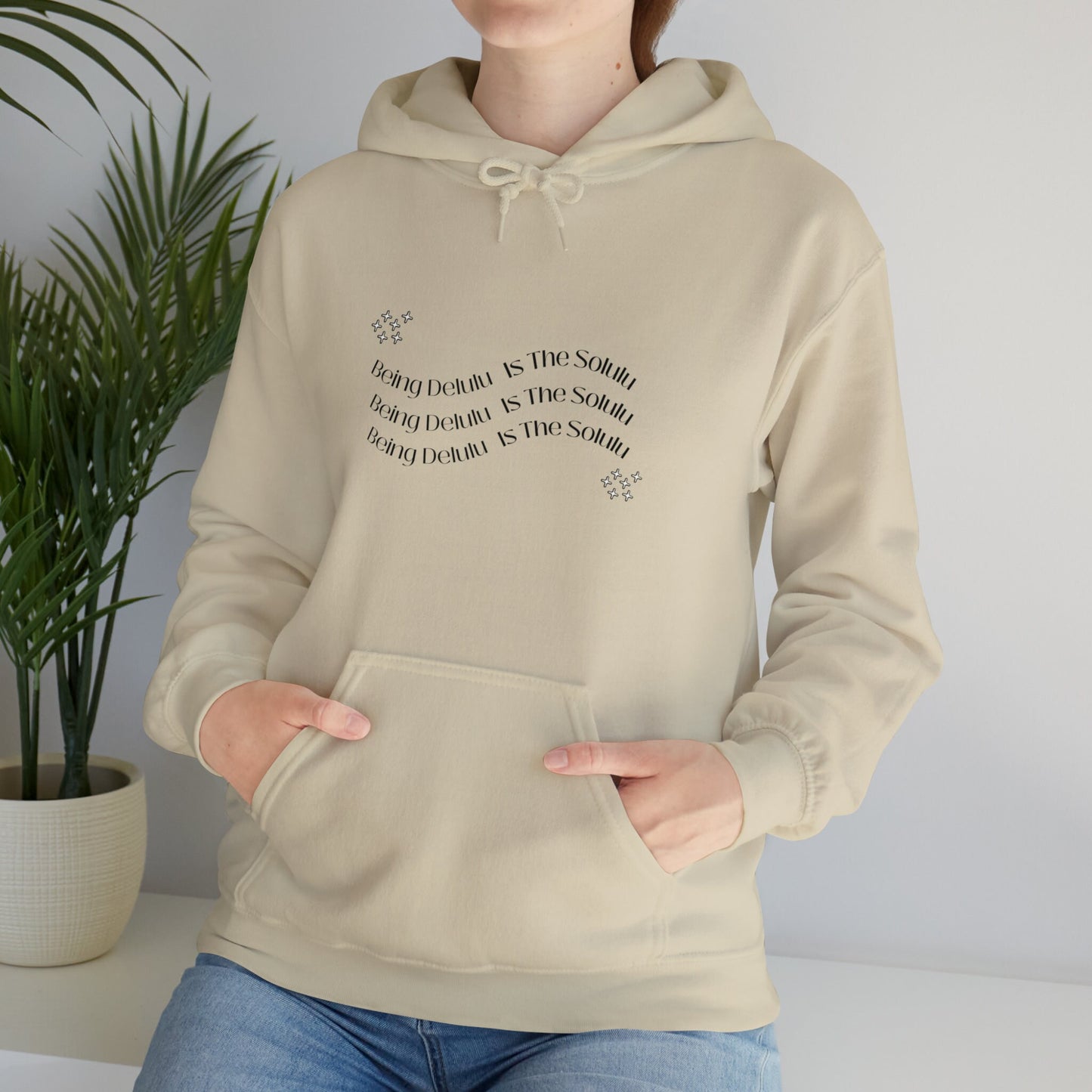 Being Delulu Is The Solulu, Funny Hooded Sweater, Slogan Hoodie, Unisex Hoodie