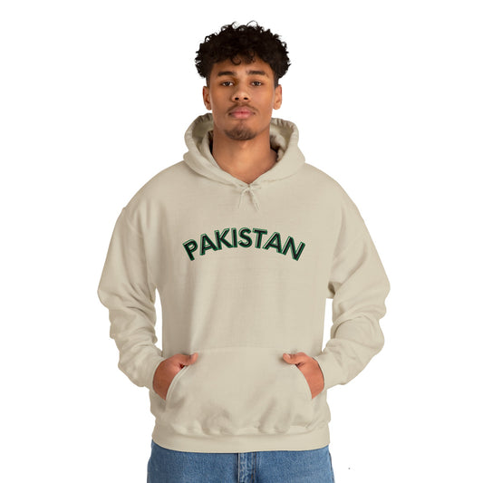 Pakistan Hooded Sweatshirt, Desi Hoodie, Pakistan Aesthetic, Unisex Hooded Sweatshirt