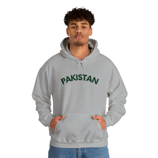 Pakistan Hooded Sweatshirt, Desi Hoodie, Pakistan Aesthetic, Unisex Hooded Sweatshirt EUR