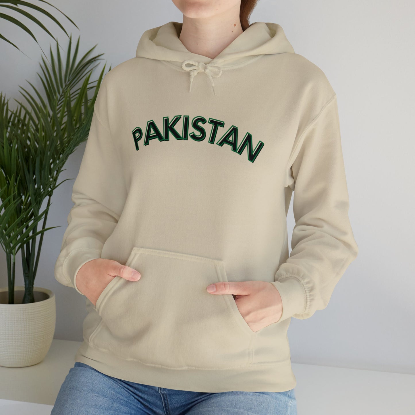 Pakistan Hooded Sweatshirt, Desi Hoodie, Pakistan Aesthetic, Unisex Hooded Sweatshirt