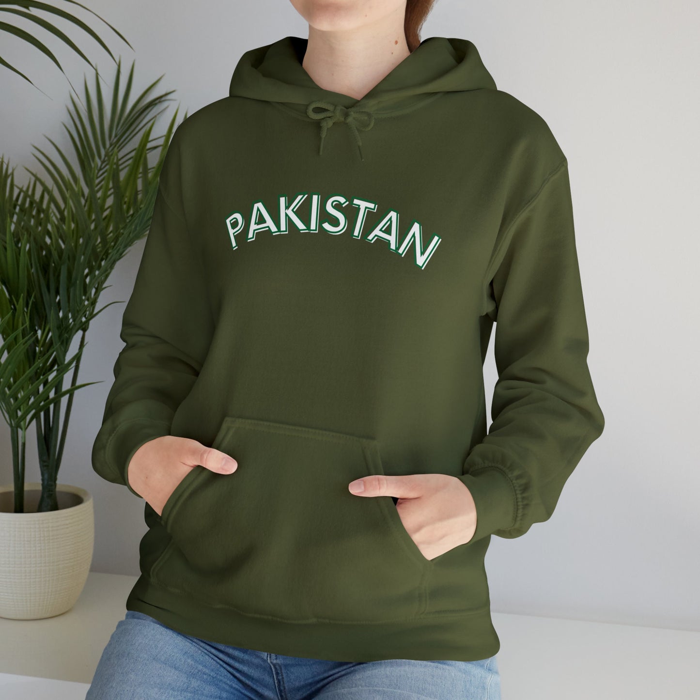 Pakistan Hooded Sweatshirt, Desi Hoodie, Pakistan Aesthetic, Unisex Hooded Sweatshirt EUR