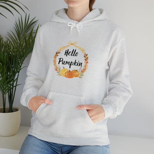 Hello Pumpkin Hooded Sweatshirt, Autumn Hoodie, Fall Aesthetic Sweatshirt, Long Sleeve Sweatshirt